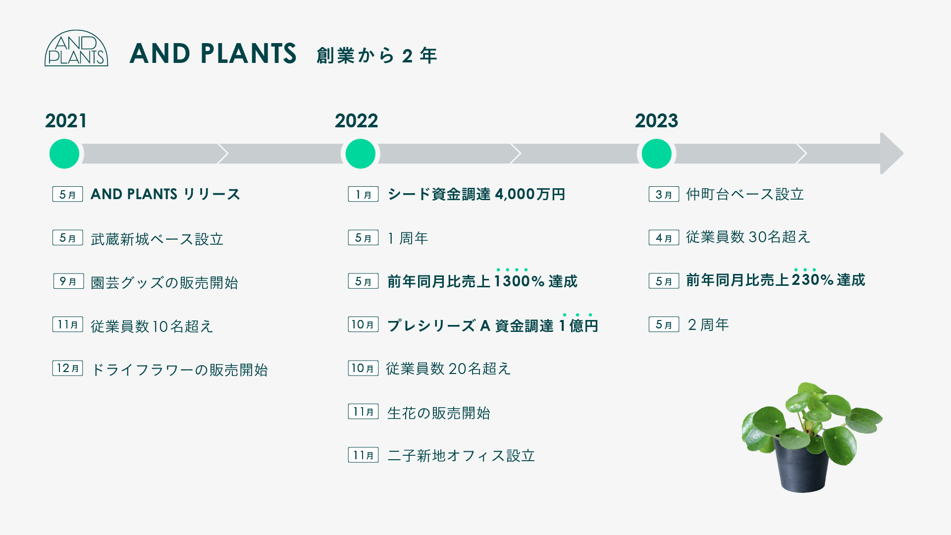 創業から2年の歩み】観葉植物・花のD2CオンラインストアAND