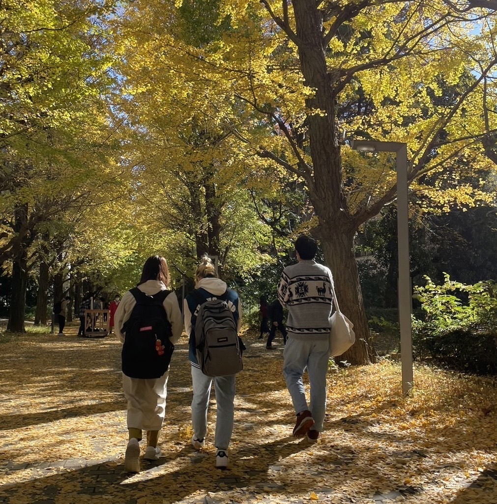 「キャリア感が鮮明に！インターンシップで得たリアルな経験」