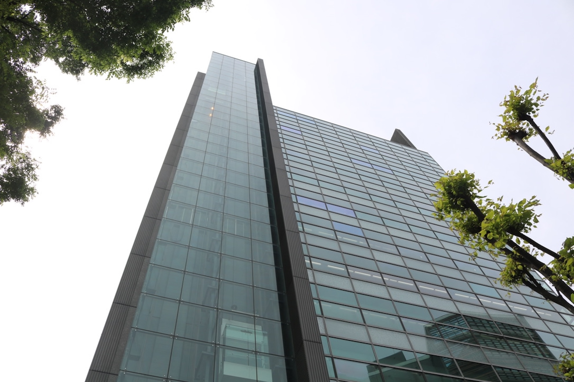 【MBTI】全社的に性格診断テストをやってみた（16Personalities）