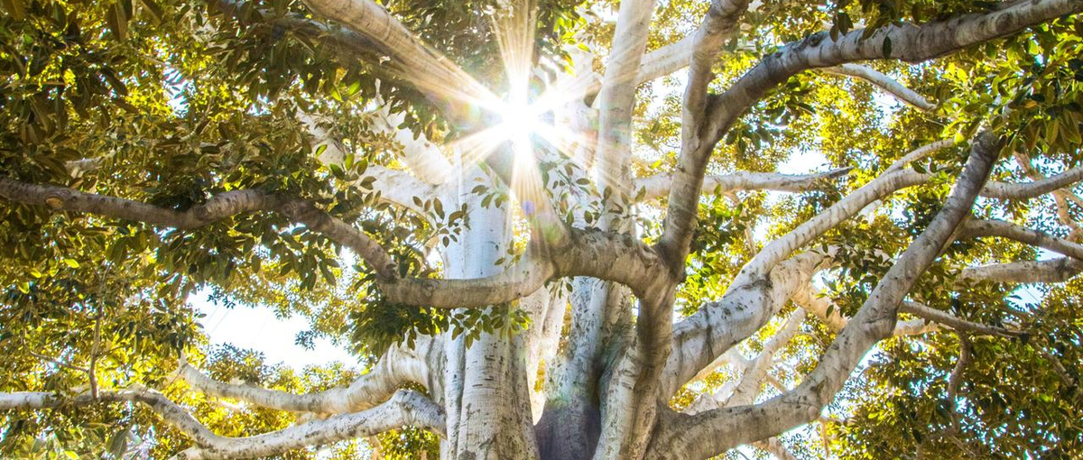 光学技術×人のチカラ