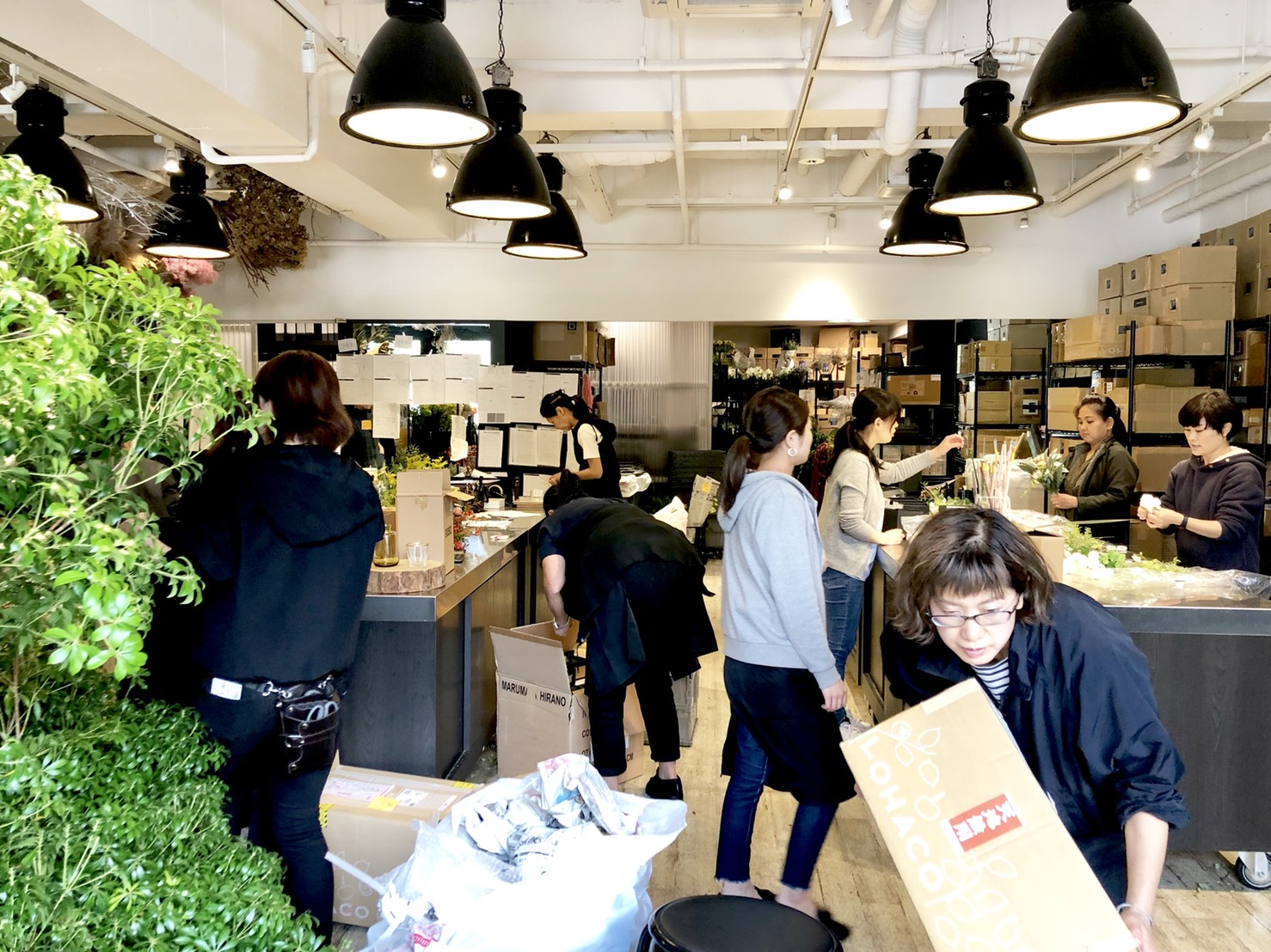 プランツコレクション神戸アトリエ