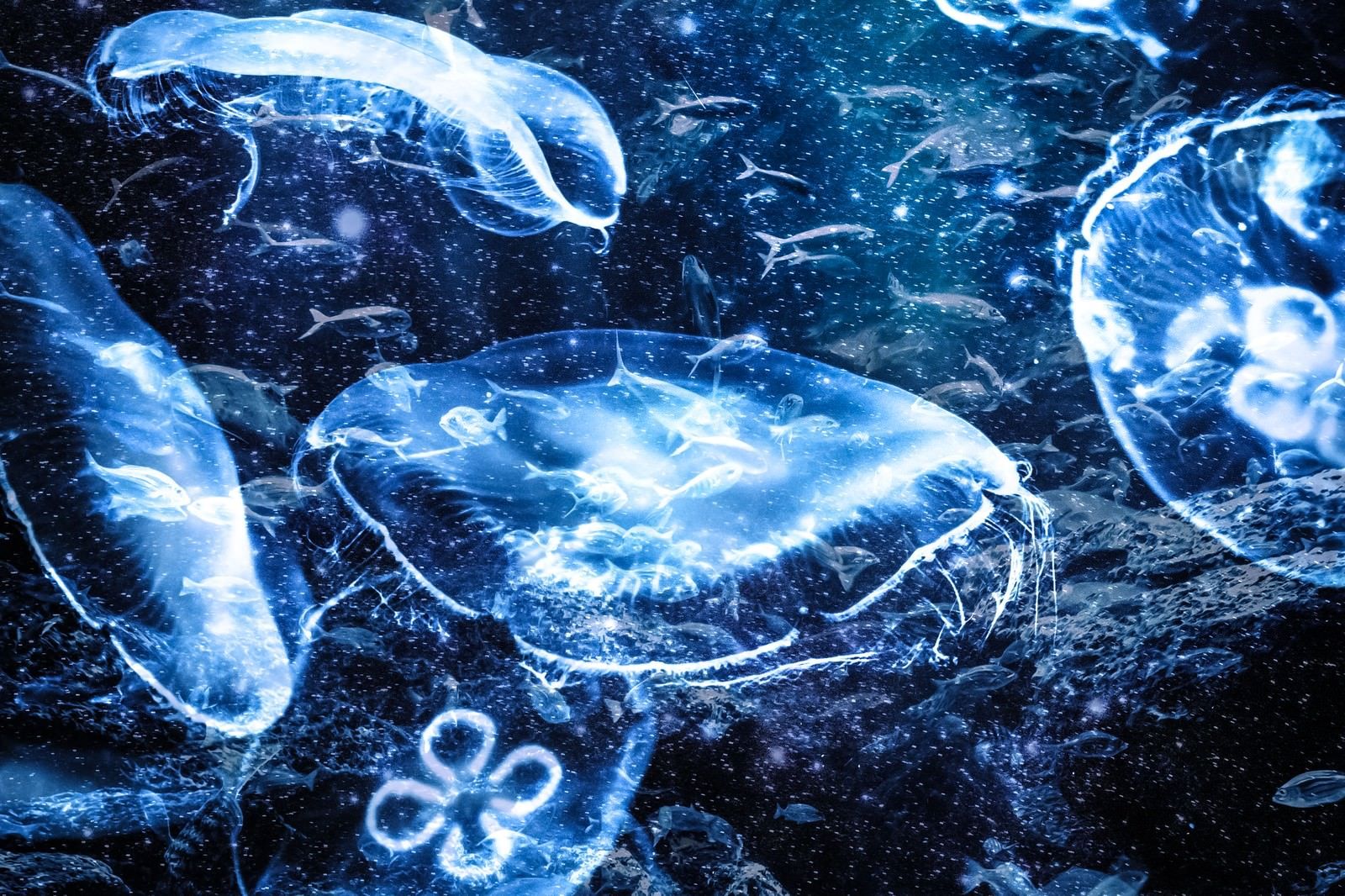 VOGUE風30の質問答えてみた | やえがし編