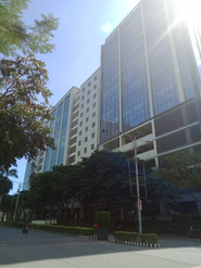 Cebuでの活動場所ITパークTGUtowerです