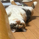 岩﨑 愛菜