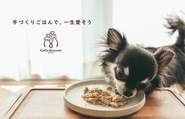 手作りドッグフード「ココグルメ」