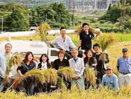 各ご当地へ行く産地研修！福井県美浜町にて、お米の稲刈りを行いました。