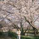 Hao Nguyen