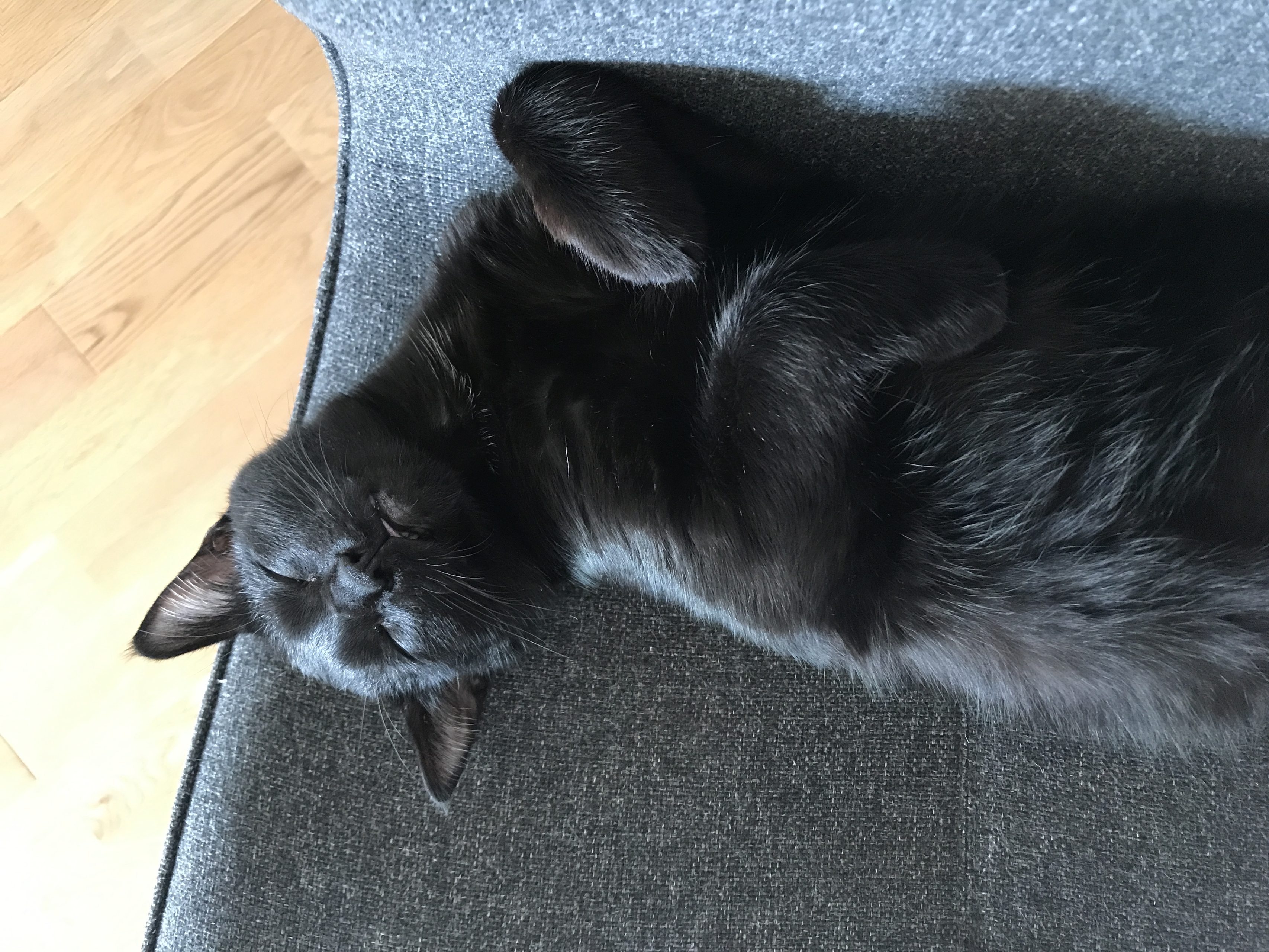 自分を表す3つの言葉