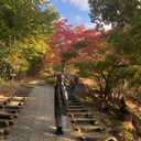 永井 春蘭