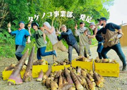 シェフの親戚のおじさんの山で筍を大量収穫しました！