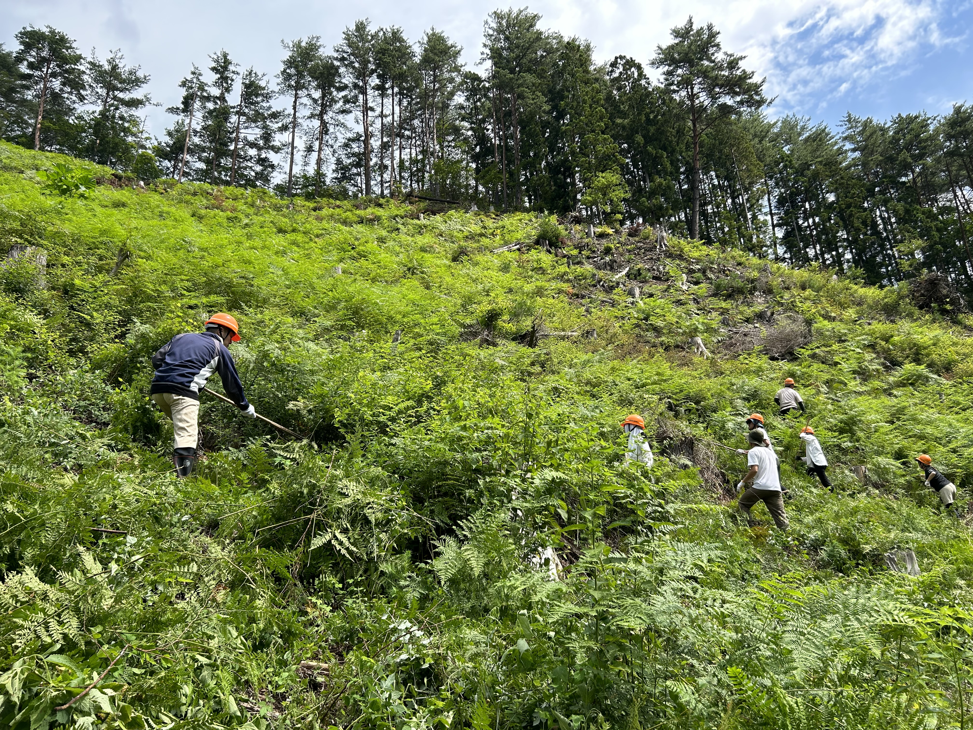 なぜSANUは自分たちの手で木を植えるのか