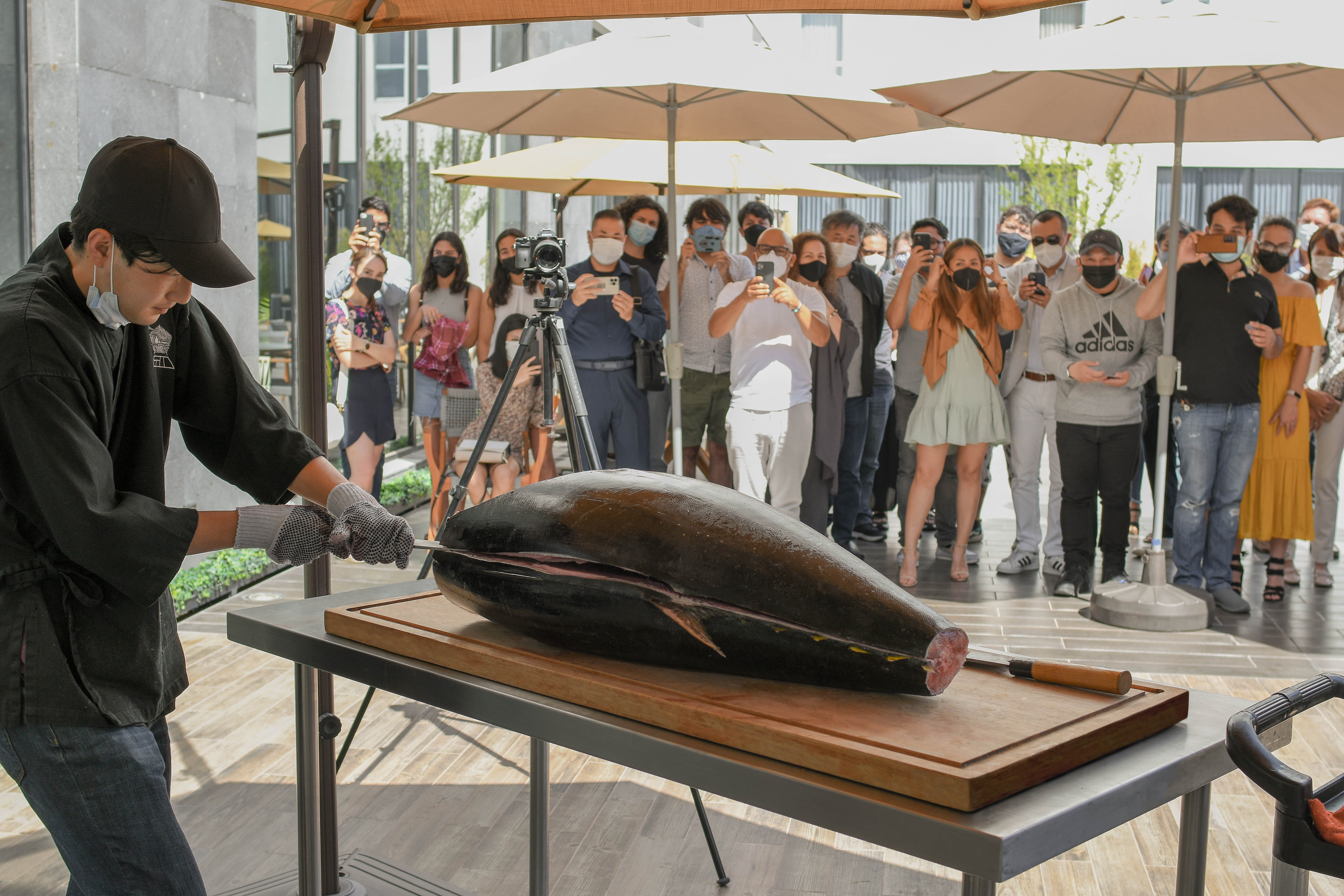 小川こうじ 小川 晃司のプロフィール - Wantedly