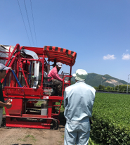 自社農園のビオファーム！