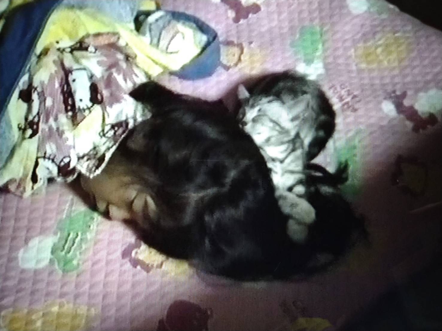 「RIBON」の由来について