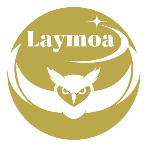 株式会社Laymoa