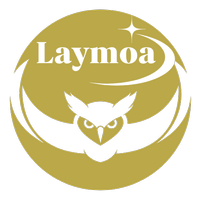 About 株式会社Laymoa
