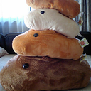 Isogai Tadahide