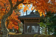 1300年の歴史を持つ多賀城　文化的な施設やイベントもあるのも地域の魅力