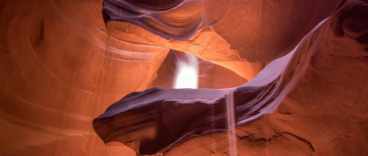 チャレンジ精神を最大限に発揮できる場所！