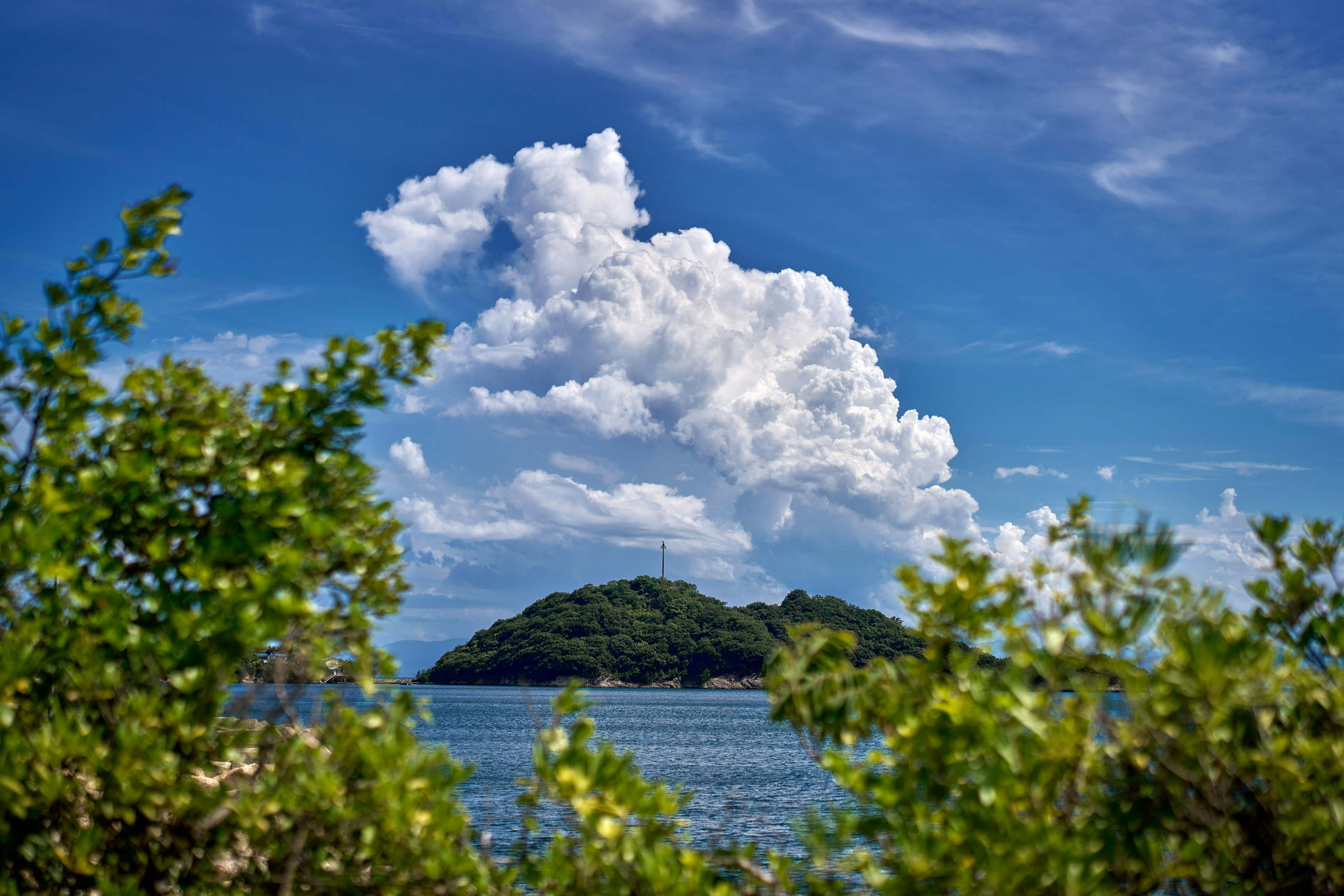 VOGUE風30の質問答えてみた