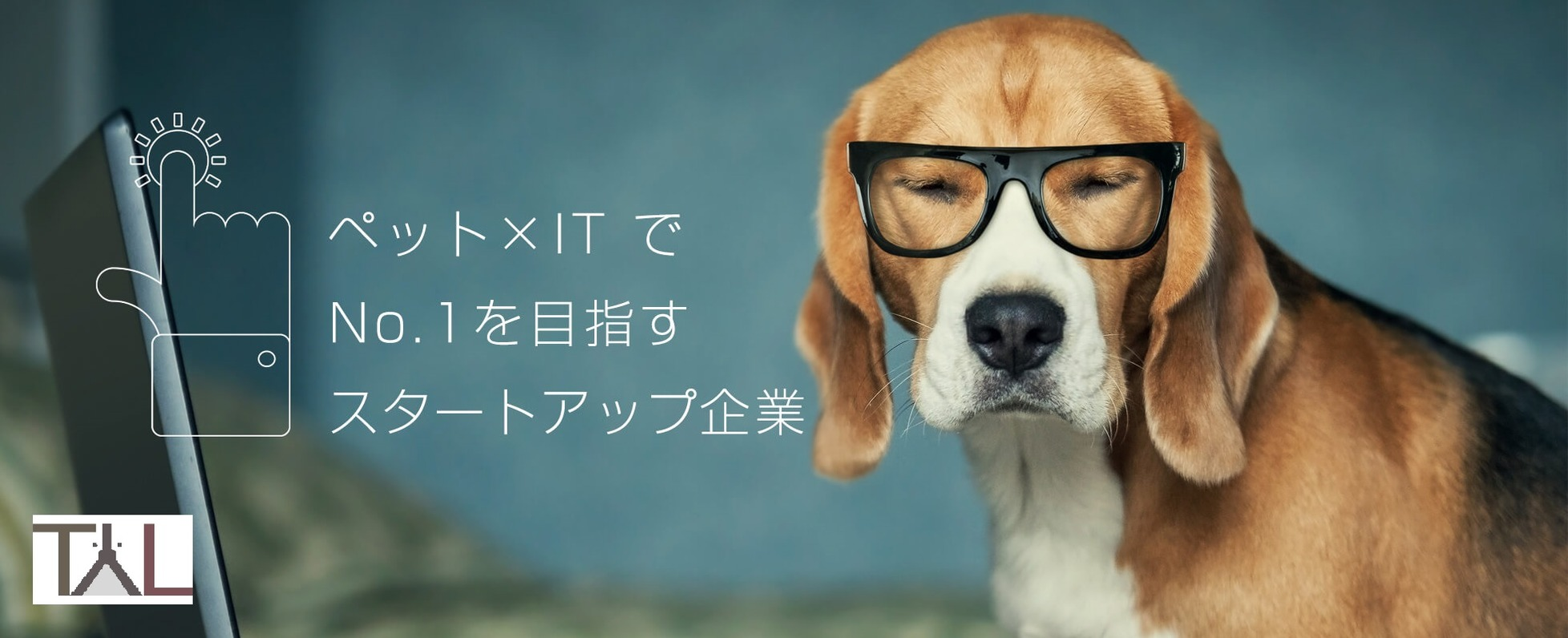 ペット×ITでNo.1を目指すスタートアップ企業はどんな会社なのか書いてみた。