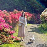 セナ （Sekine Wakana）