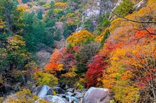 山梨の自然とともに、新しい未来を築いていく。
