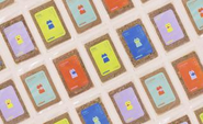 現在は、ねこの身体特性に基づいたフレッシュフード事業を展開しています。