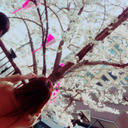 桜井 美海