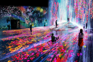 2018年、東京・お台場にteamLab Borserlessをオープン