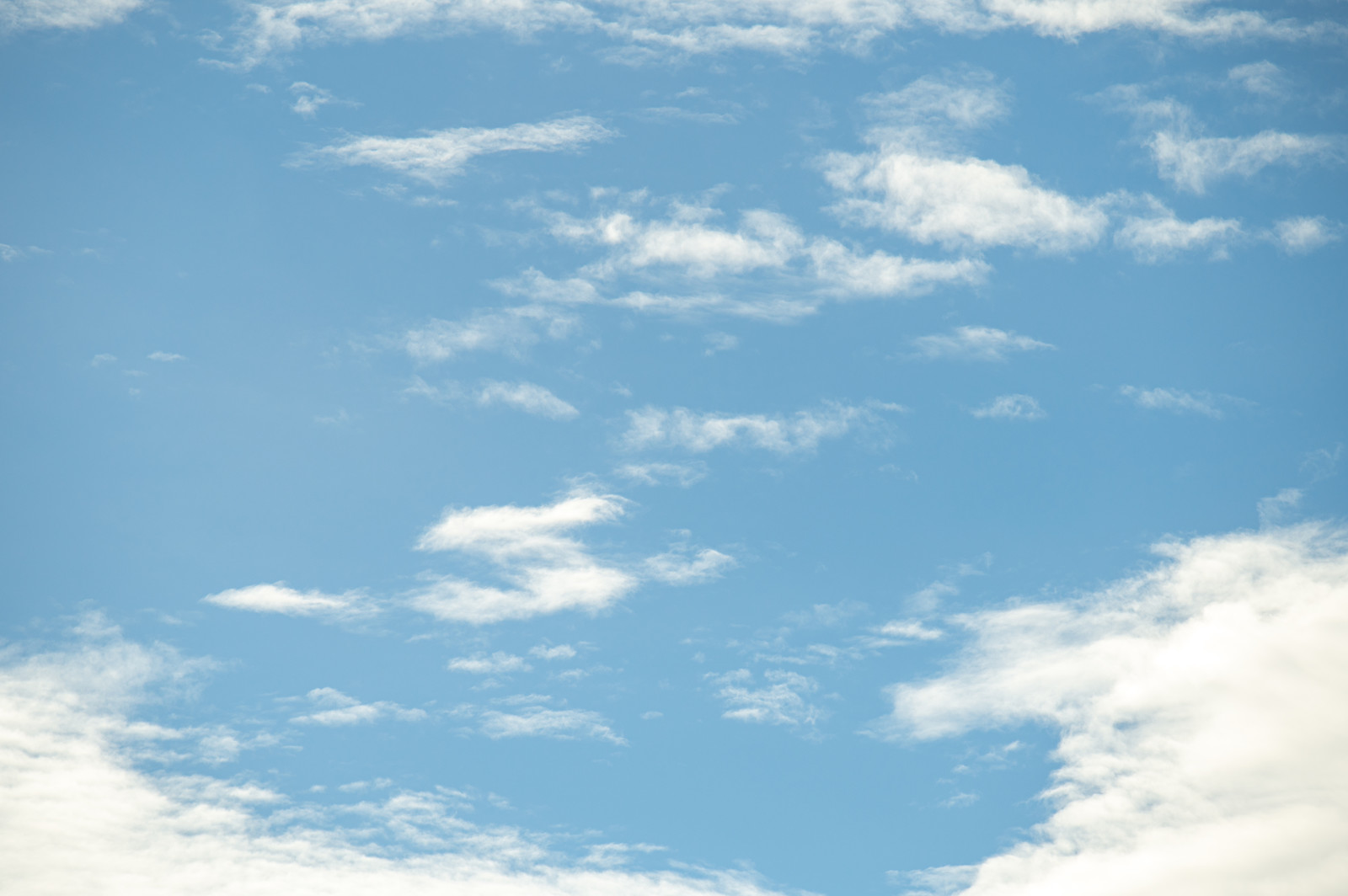 仕事をする上で大切にしていること