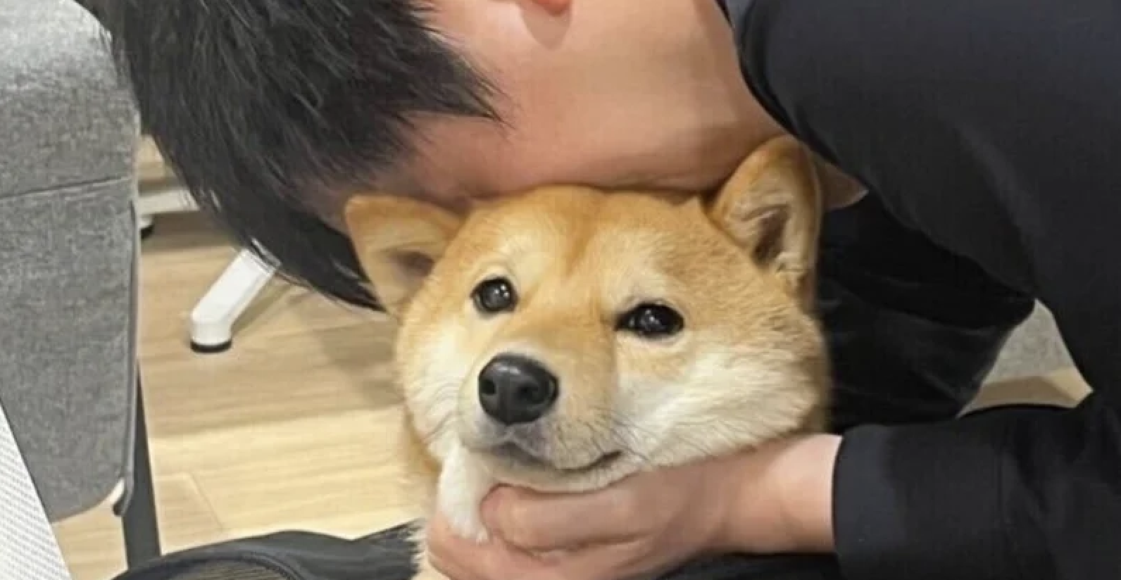 【愛犬と同伴出社できるバイオフィリア】社長のいぬ吸い写真のツイッター投稿でバズる！