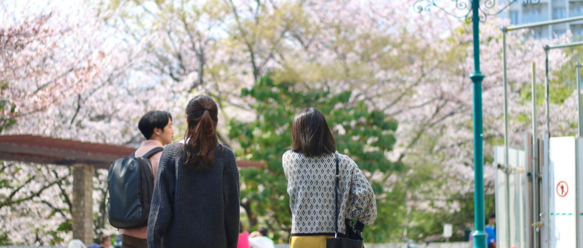 フロントエンドエンジニアの卵募集開始！受託開発で実力をつけよう！