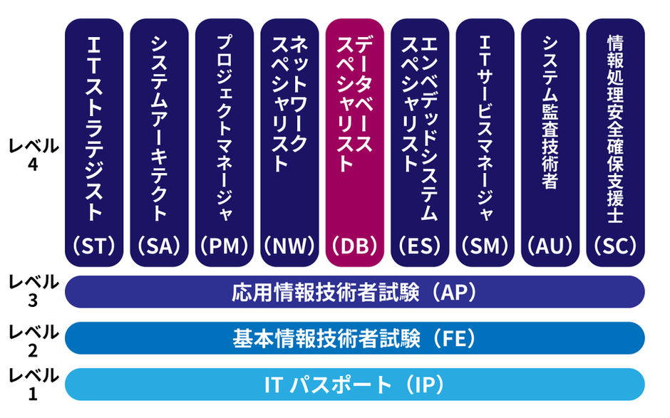 アルトワイズ社員が送る！データベーススペシャリスト合格体験記 | 株式会社アルトワイズ