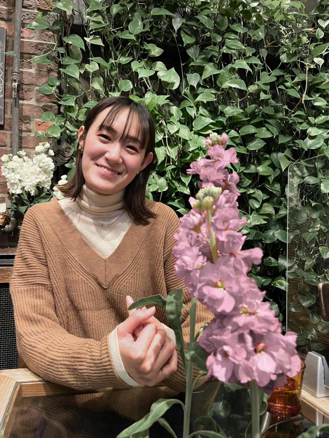 陽加 藤賀