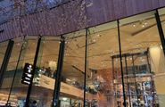 今話題のStarbucks Reserve Roastery建設プロジェクトなど、話題の建築にも携わることが出来るのも魅力のひとつ！