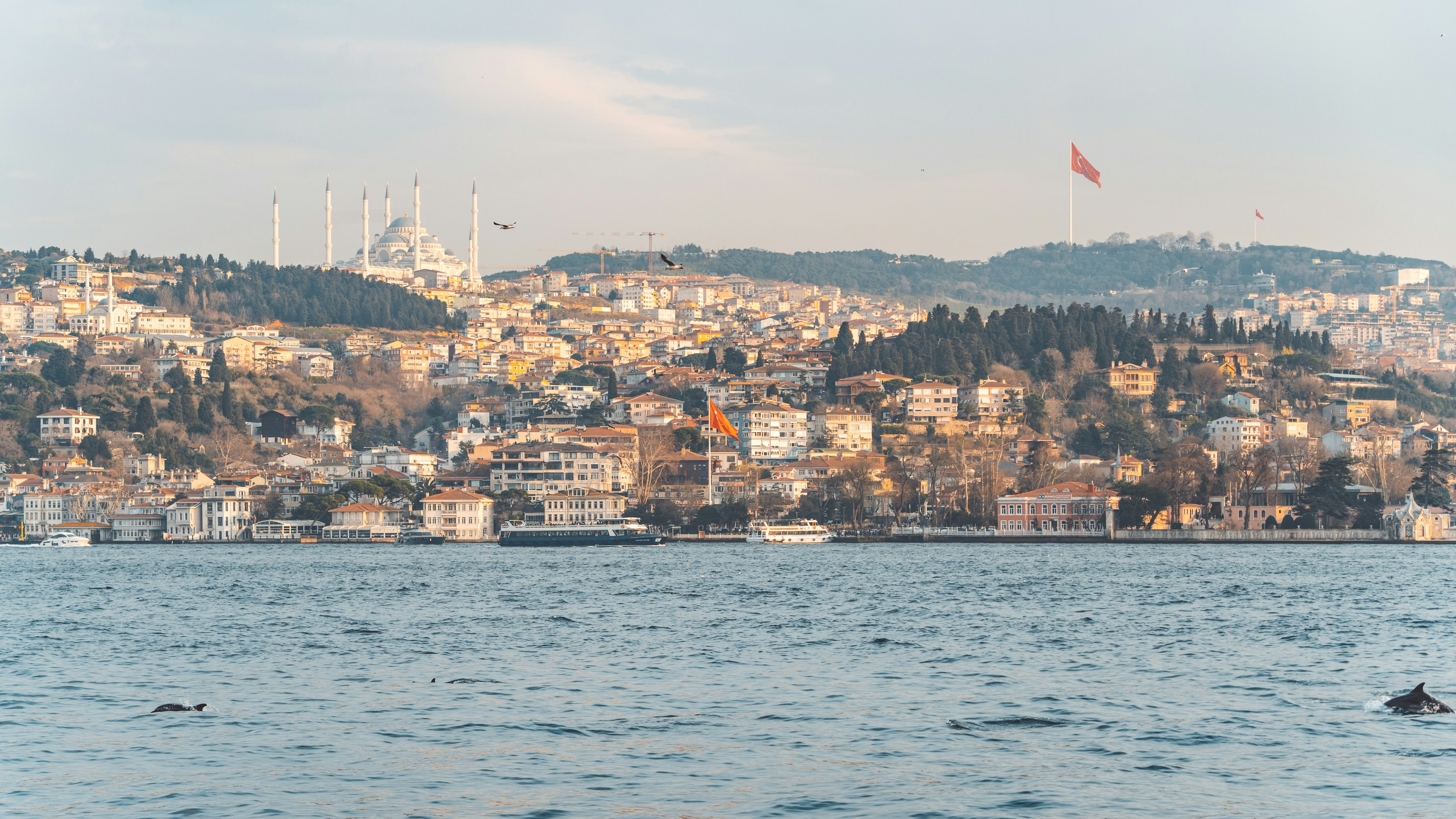 クルージングヨット教室物語２５５