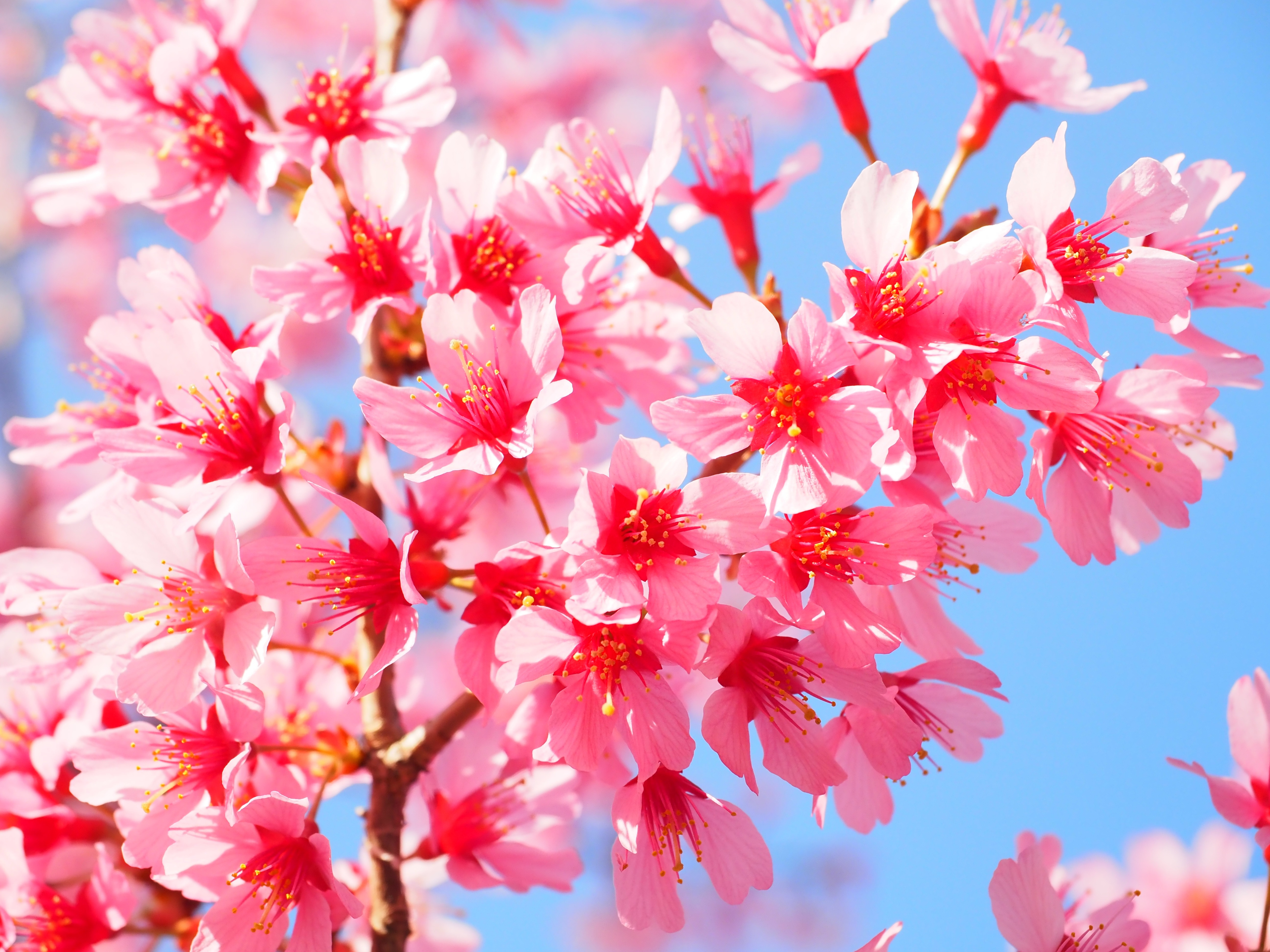 リベンリで３月に起きた「超驚ニュース」をお伝えします。