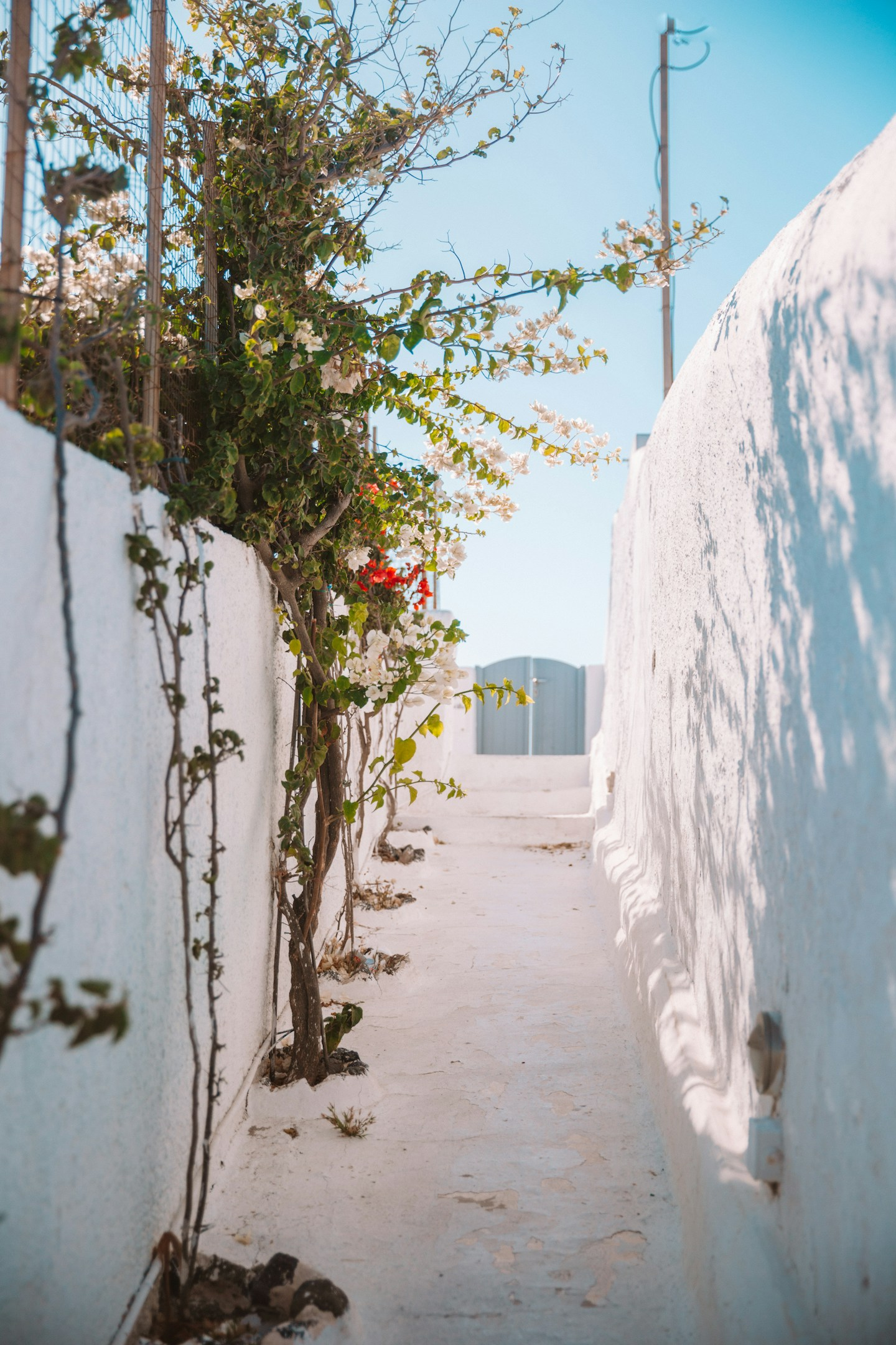 人と情報をつなぐ「伝える力」をライティングへ