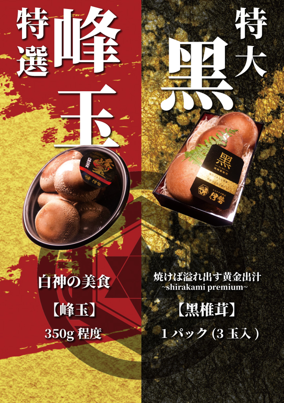 黑椎茸は最初全然売れなかった。でもそれが、次の事業へのヒントになっ