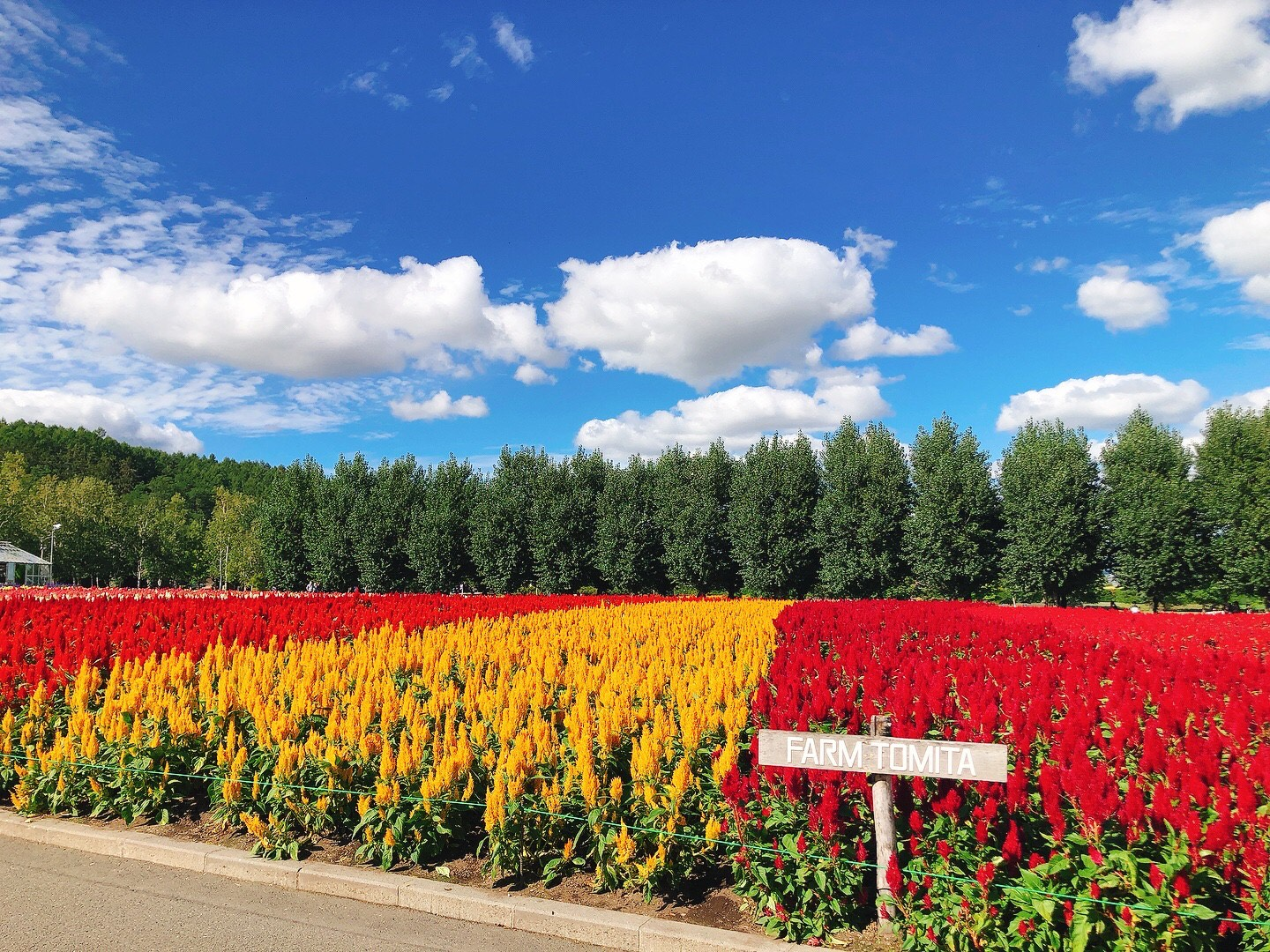 居心地の良い場所で知らない自分に出会う