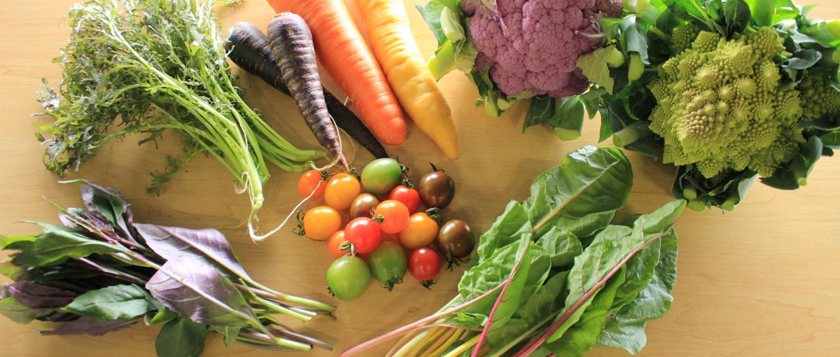 IPO準備を支える！挑戦できる法務担当者募集！