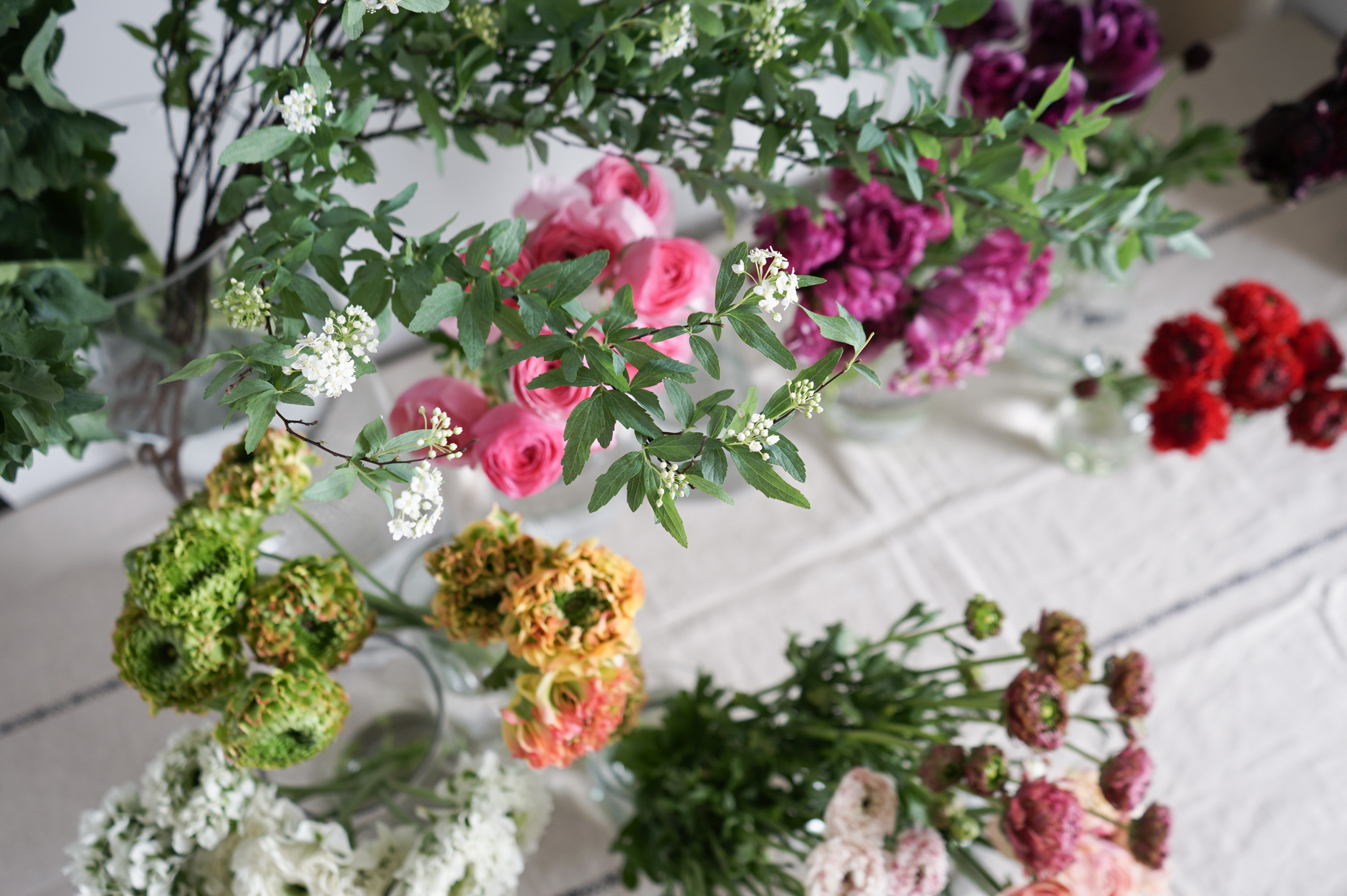 2020年HitoHana（ひとはな）成長の舞台裏