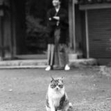 Mamoru Kokaze
