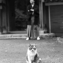 Mamoru Kokaze