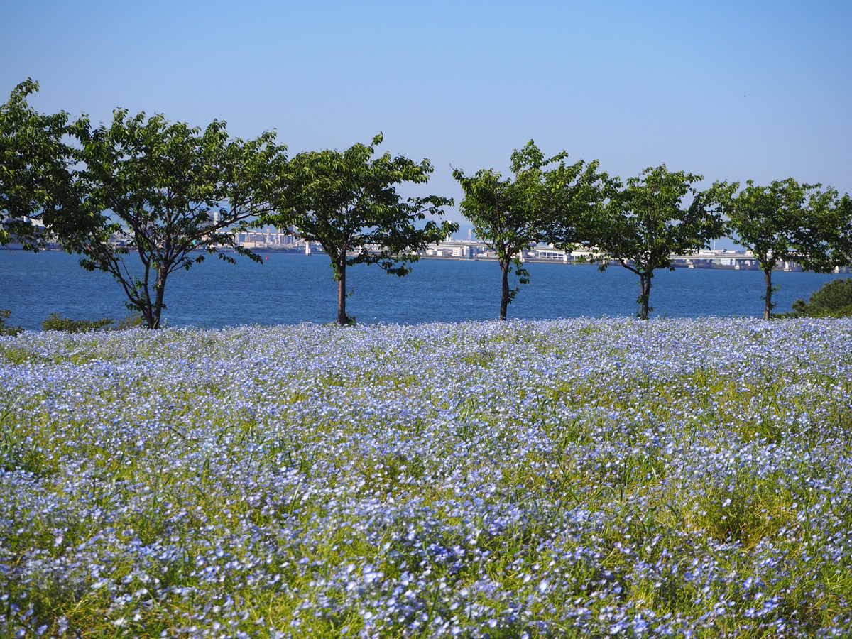 はじめまして！新入社員の藤井です！