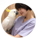Rina Shibasaki