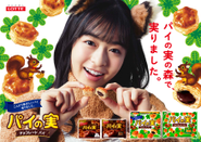 パイの実のTVCMをはじめとするトータルマーケティングコミュニケーションを企画立案 / 制作