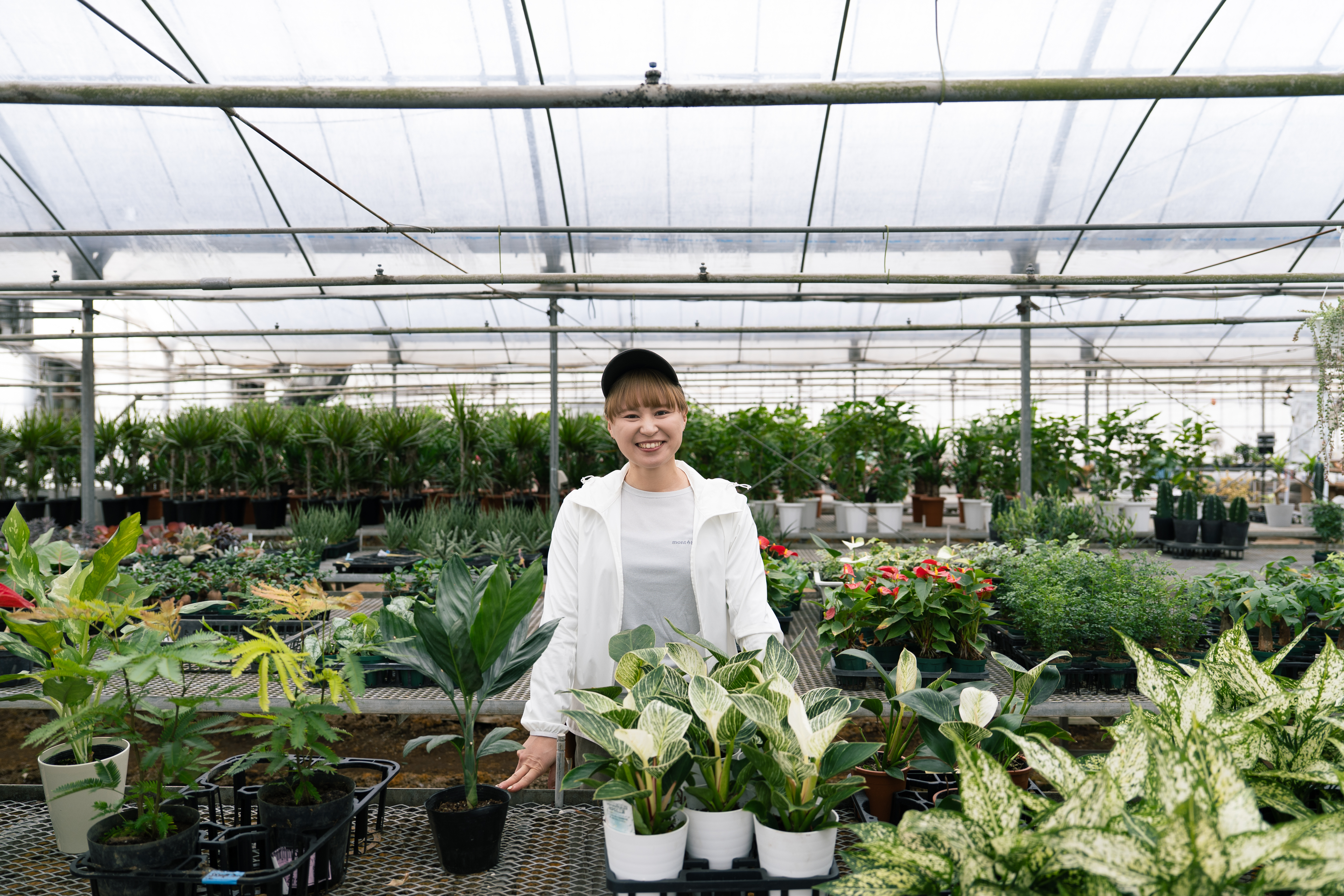 「日本一の植物ブランドを一緒に作りたい」―プランツマネージャー・桃子さんが描く未来