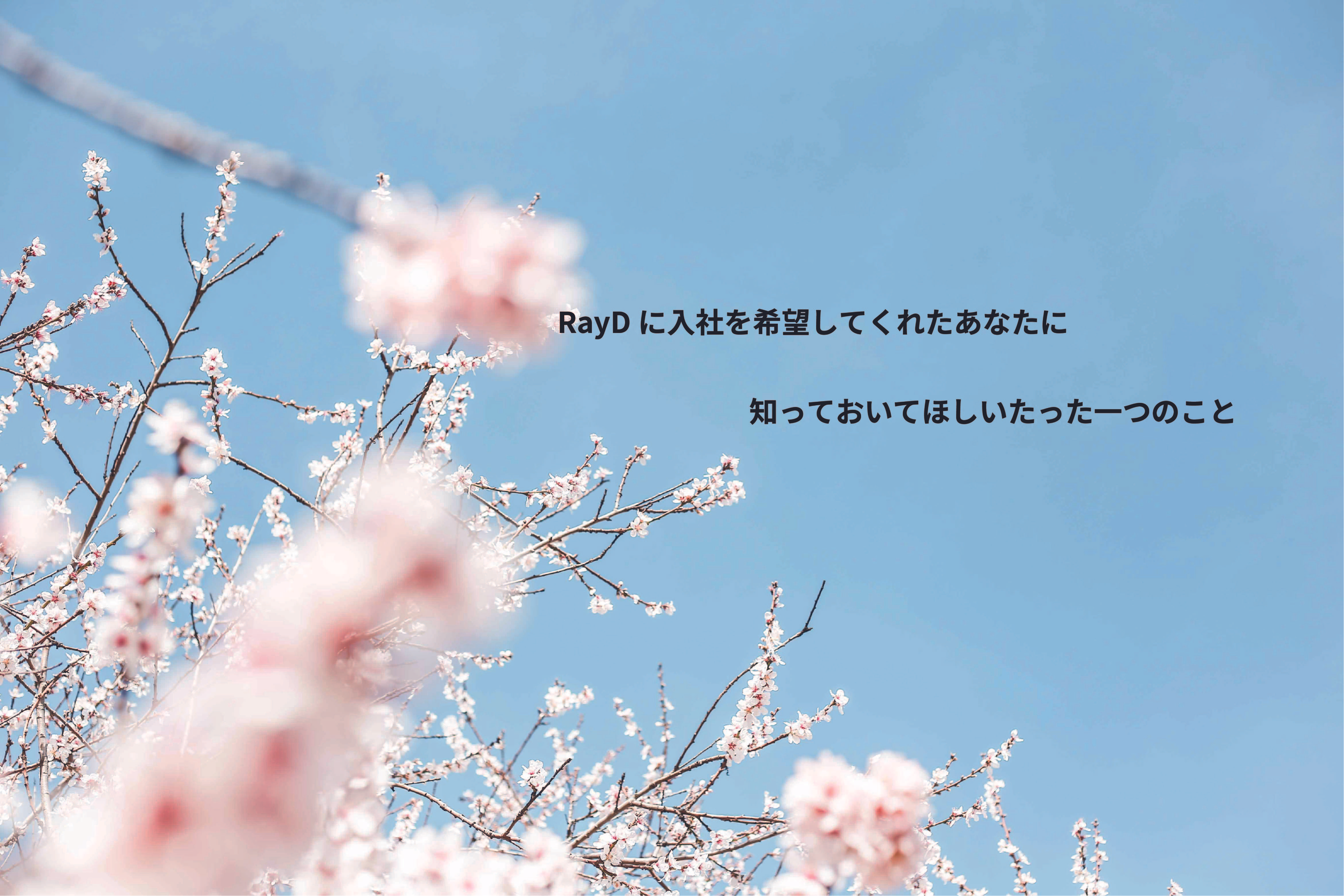 RayDに入社を希望してくれたあなたに知っておいてほしいたった一つのこと